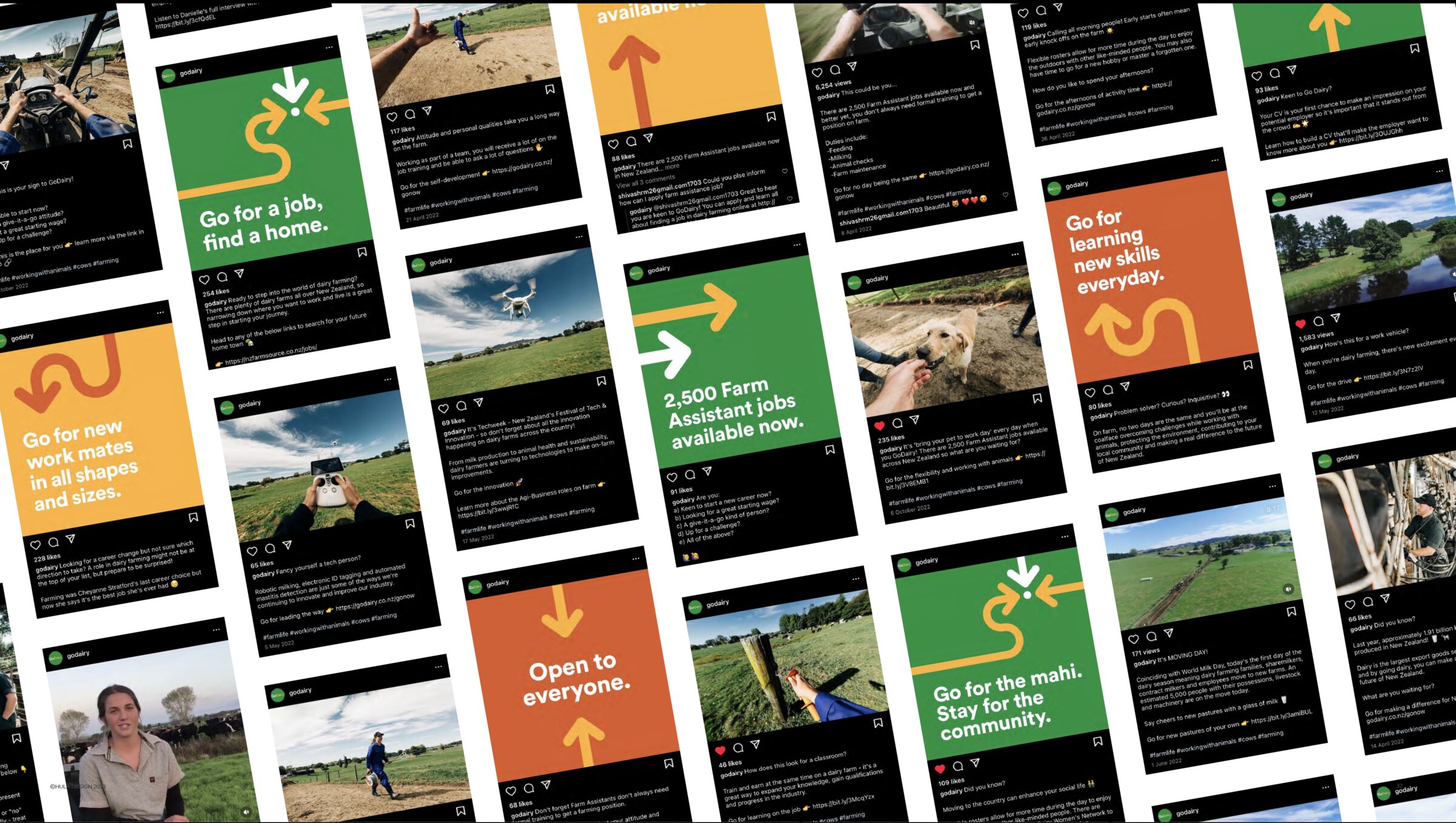 Go Dairy social-feed mosaic: dozens of phone screens filled with campaign creative — 'Go for a job, find a home', '2,500 Farm Assistant jobs available now', 'Open to everyone' — across green, orange and yellow tiles.
