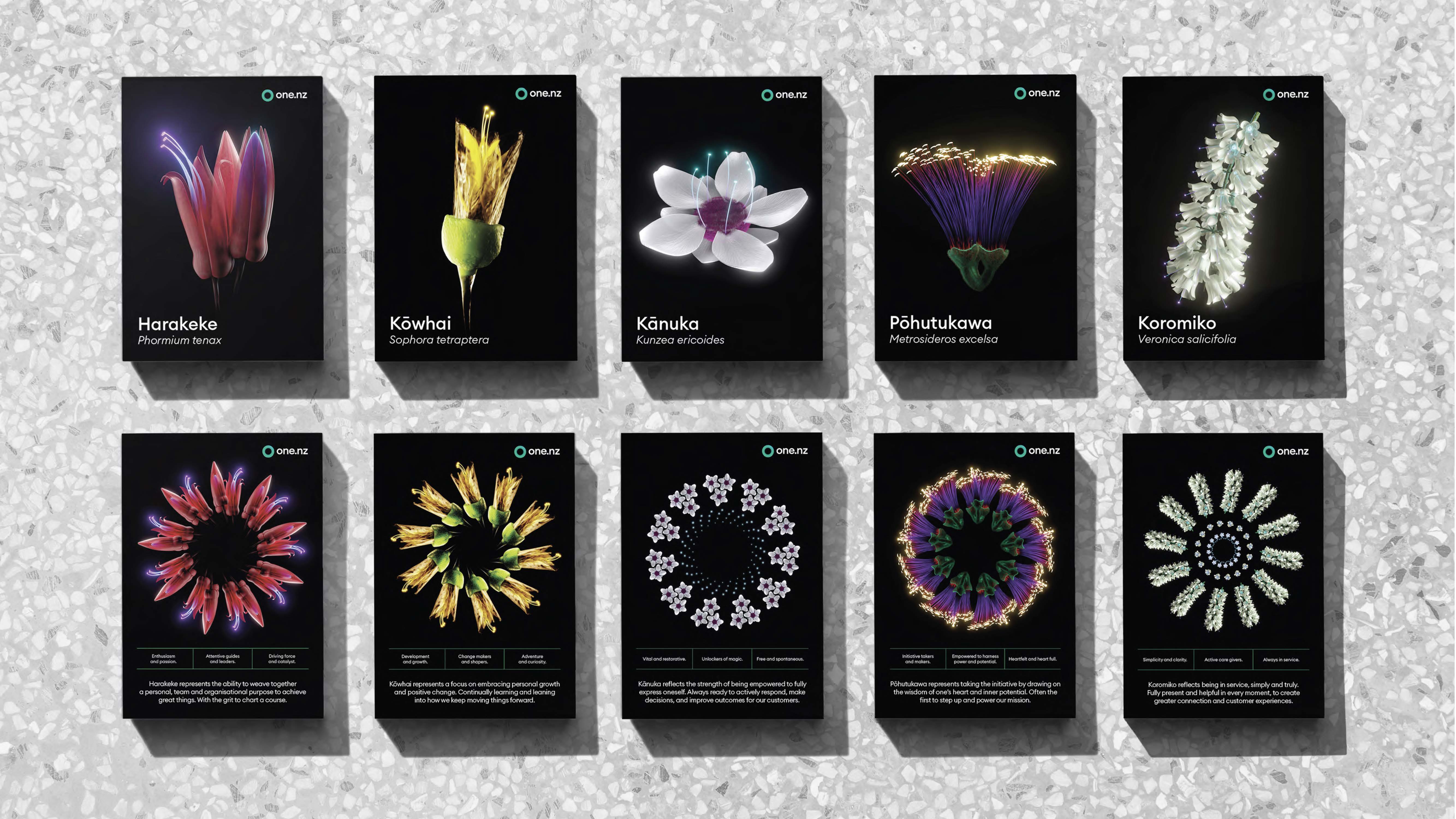 One NZ flower card system — Harakeke, Kōwhai, Kānuka, Pōhutukawa and Koromiko cards on textured paper, each pairing the native flower with an abstract dot-spoke pattern derived from it.