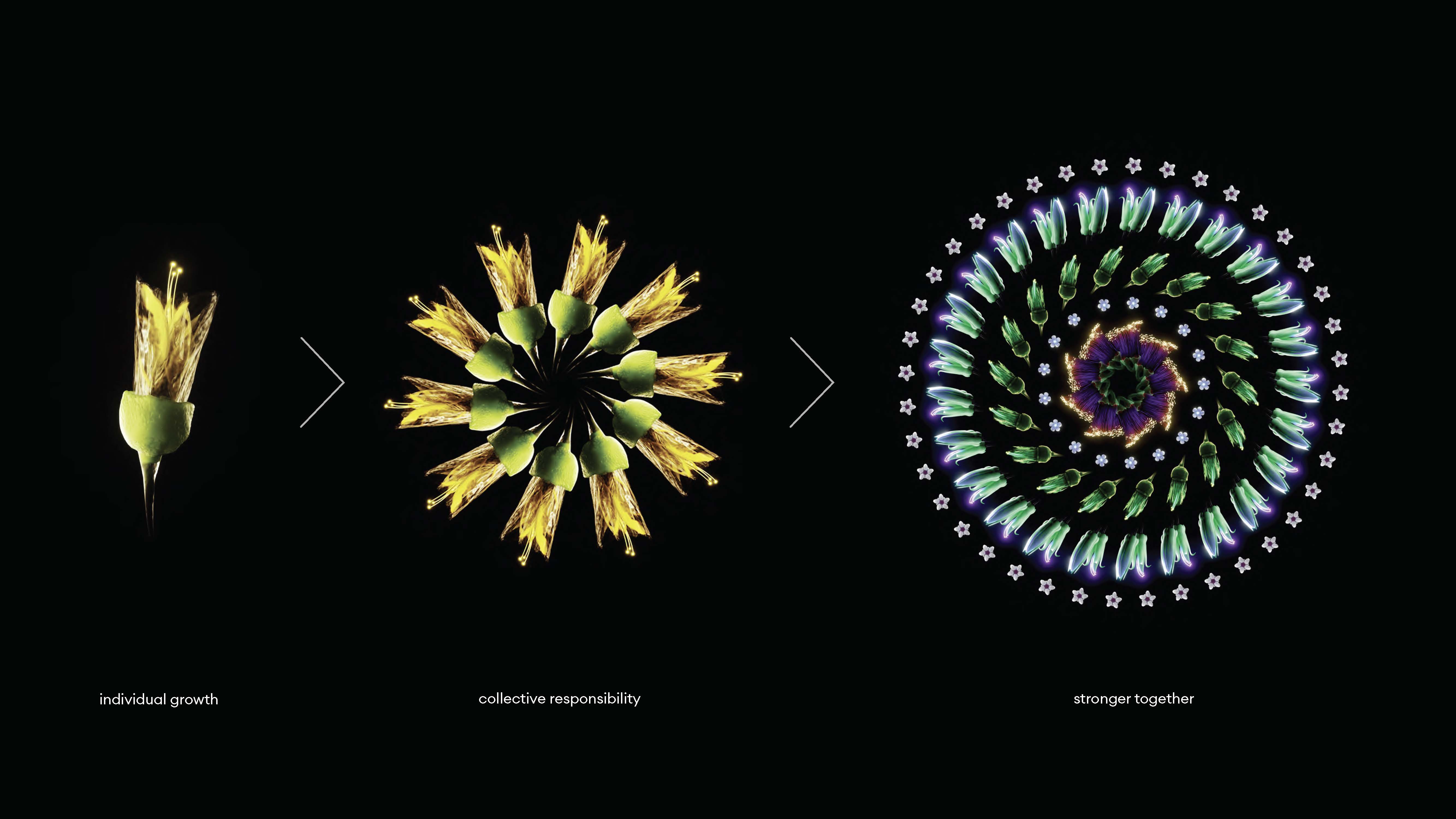 One NZ brand visual: three native flowers — individual growth, collective responsibility, stronger together — illuminated against black, representing Vodafone's transformation into One NZ.
